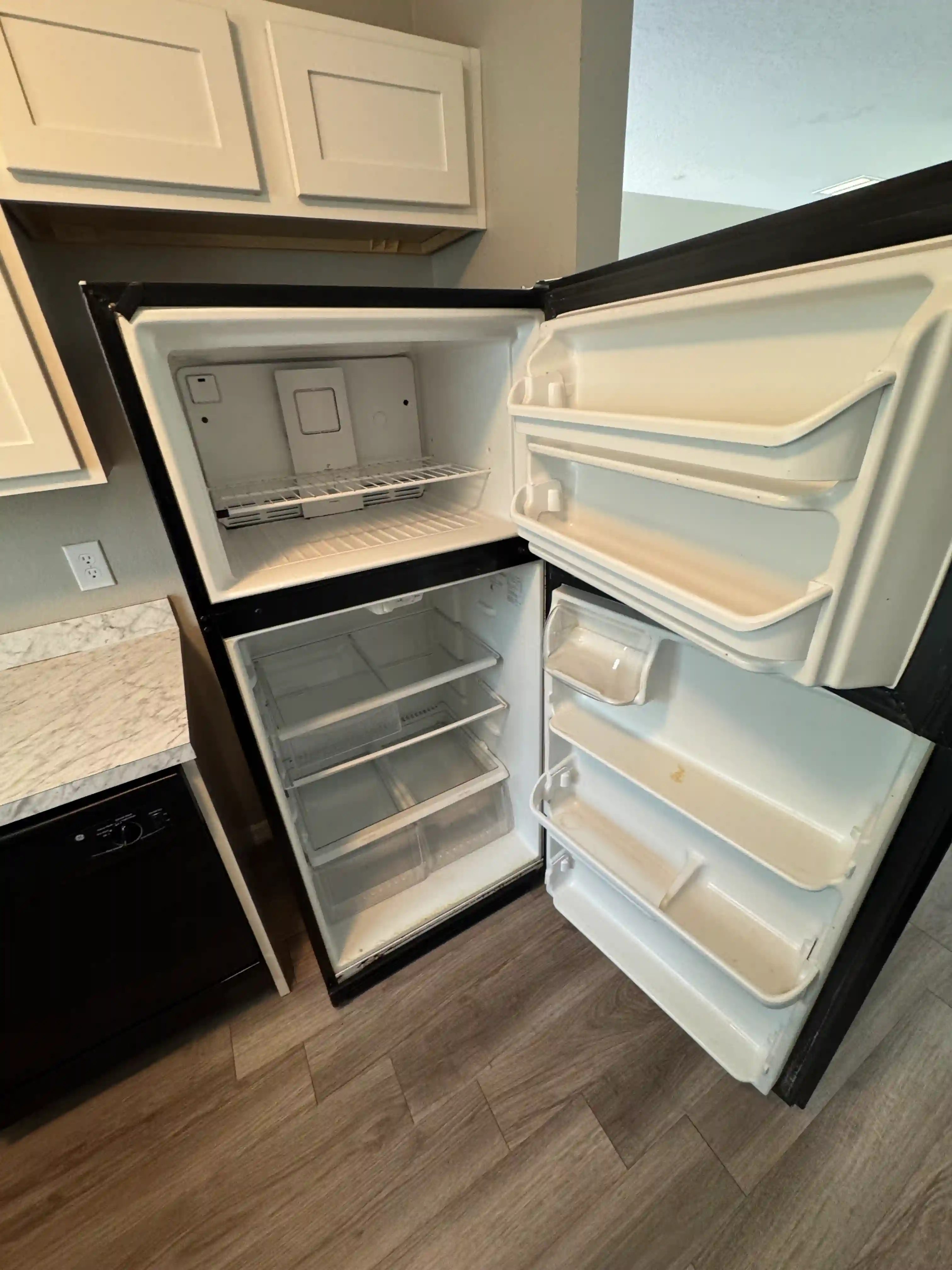Refrigerator interior cleaned empty