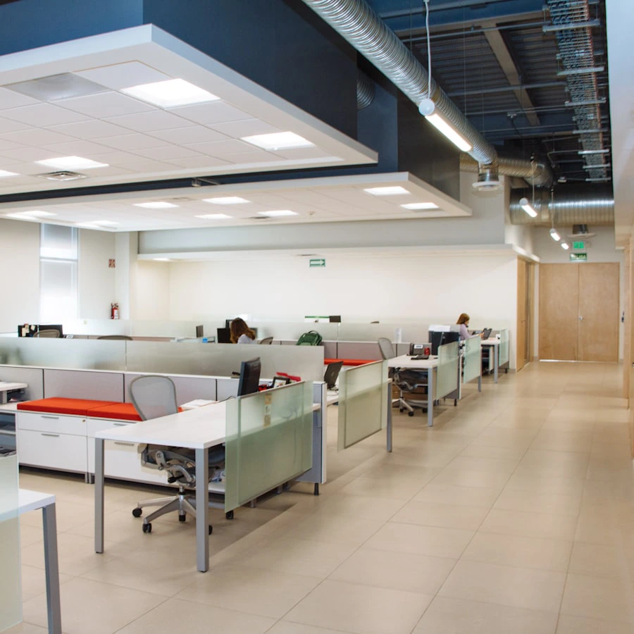 A bright, tidy open-plan office space